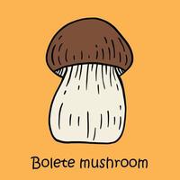 Doodle dibujo a mano alzada de seta bolete. vector