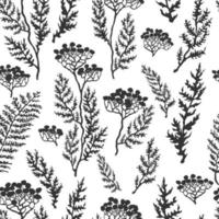 Vector seamless background with hand drawn illustration of herbs, or plants black on white field. Can be used for wallpaper, pattern fills, web page, surface textures, textile print, wrapping paper