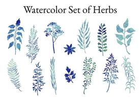 Vector colorful illustration set of herbs, plants and flowers. Hand drawn graphic sketches for you design