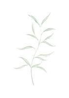 plantilla de boda con fondo abstracto. vector de fondo con hoja verde y fondo blanco. Fondo creativo de hojas con composición de hojas naturales. foto