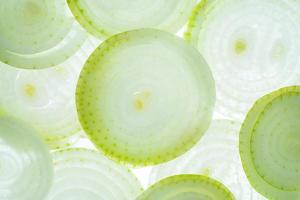 onion slices background. collection of fruit and vegetable pattern backgrounds. natural green white background in full frame.