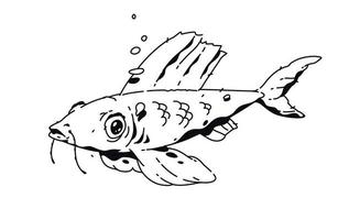 Linear drawing of fish. Fashion tattoo. Vector. Outline drawing. Hipster style. Figure on T-shirt.
