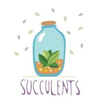 Hand drawn succulent in a glass bottle with dirt in it, doodle style, isolated on a white background. vector