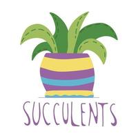 Hand drawn succulent in a colourful ceramic pot, doodle style, isolated on a white background. vector