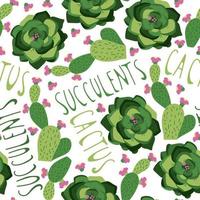 Seamless pattern with succulents and cactus in colourful pots, pattern in doodle hand drawn style. vector