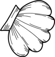 Beautiful shell.  Vector illustration