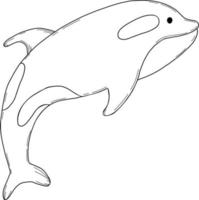 Great killer whale. Vector illustration