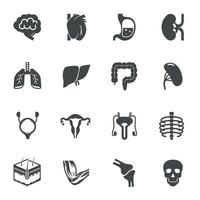 Human Internal Organs Icons. Vector illustration