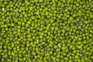 mung beans background. natural green background pattern. background texture of vegetable. uncooked seed in full frame. photo