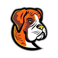 boxer dog  head mascot retro vector