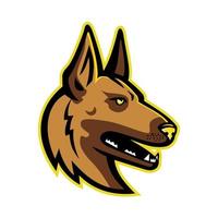 Belgian Malinois head mascot retro vector