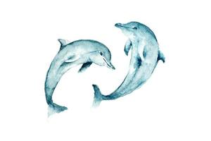 Ilustración acuarela de una ballena jorobada. un dibujo creativo pintado a mano de animales marinos. elemento artístico para decorar el diseño del tema náutico. foto