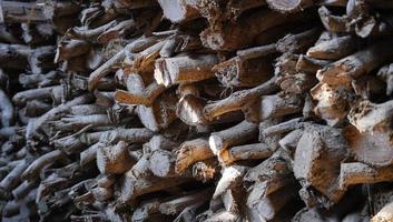 the pile of firewood is from many tree trunks or waste from the forestry. the firewood is heaped to keep it for the next need. photo