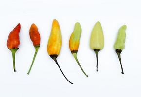 cayenne pepper isolated on white background. a tiny ingredient can give a super spicy taste to dishes.