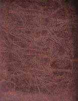 leather texture in brown. detailed line abstract of the leather surface material. natural leather pattern for luxurious design. photo