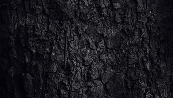 la textura de la corteza con un agujero de hendidura, la superficie del tronco del árbol en color oscuro. la textura natural de la silvicultura foto