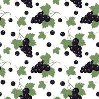 Seamless pattern with black currant. Background for fabric with berries. The Wallpaper in the children's room, print for textiles, wrapping paper. vector