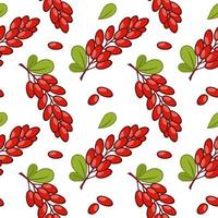 Seamless pattern with a pattern of barberry twigs. Vector background for wrapping paper. Print for clothing . The print on the fabric.