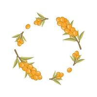 Round frame made of sea buckthorn twigs. Flower frame for photo decoration. Place under the photo or caption. Making an invitation card for a wedding. vector