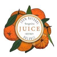 Tangerine juice round emblem over background with hand drawn tangerine. Vector illustration in sketch style isolated on white background