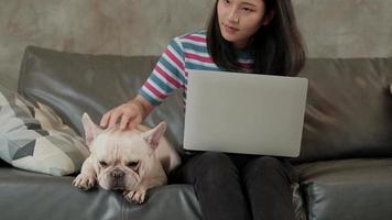 dierenliefhebber, casual freelance aziatische schattige vrouw die vanuit huis werkt met een laptopcomputer via draadloos internet voor online zaken met een schattige hond, franse bulldog die gelukkig naast haar zit. video