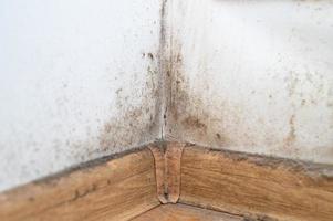 polvo casa sucia apartamento polvoriento foto