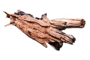 Old Timber isolated photo