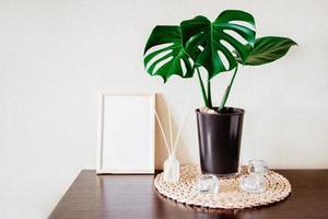 Potted Monstera houseplant and eco-friendly aroma diffuser. photo