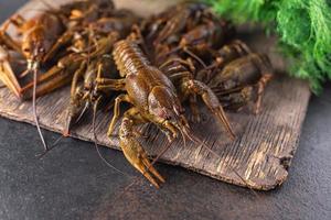 crayfish raw fresh seafood meal photo