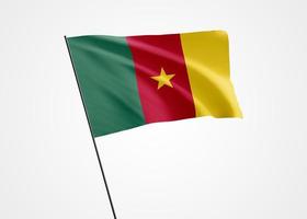 Camerún volando alto en el fondo aislado. 01 de enero día de la independencia de camerún. colección de la bandera nacional mundial colección de la bandera nacional mundial foto