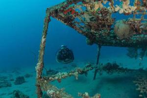 Sea pollution in metals and other garbage in the Red Sea photo