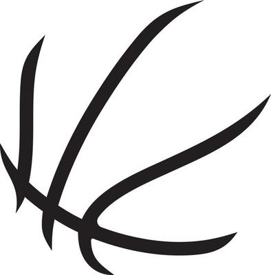 basketball ball vector png