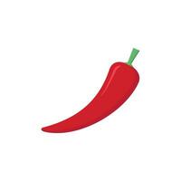 Chili pepper vector