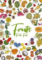 colección de frutas en estilo plano dibujado a mano, conjunto de ilustraciones. vector