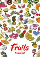 Fruit collection in flat hand drawn style, illustrations set. vector