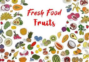 Fruit collection in flat hand drawn style, illustrations set. vector