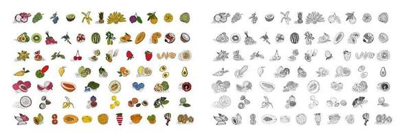 conjunto de vectores de estilo dibujado a mano de frutas.