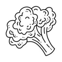 Broccoli cabbage linear vector icon in doodle style