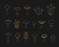 Set of outline golden esoteric mushrooms vector