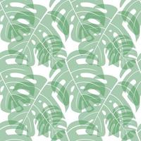 monstera leaf seamless pattern vector