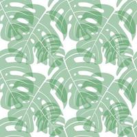 monstera leaf seamless pattern vector