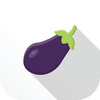 brinjal flat icon vector