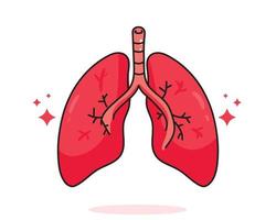 pulmón anatomía humana biología órgano sistema corporal cuidado de la salud y médico dibujado a mano ilustración de arte de dibujos animados vector