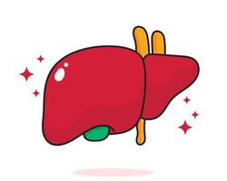Liver human anatomy biology organ body system health care and medical hand drawn cartoon art illustration vector