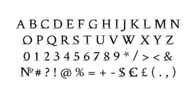 Serif roman alphabet set vector