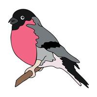 Bullfinch, doodle style, hand-drawn, vector flat illustration, isolated on a white background. Design for banner, logo, icon, sticker, web blog