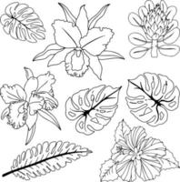 vector doodle plantas, conjunto de iconos de plantas