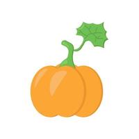 Pumpkin in cartoon style, juicy orange vegetable with green leaf vector
