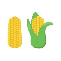 corn on the cob with and without leaves, healthy vegetable in flat style vector