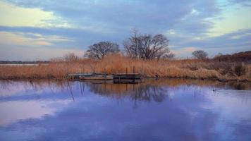 Swamps and birds taken in Japan video